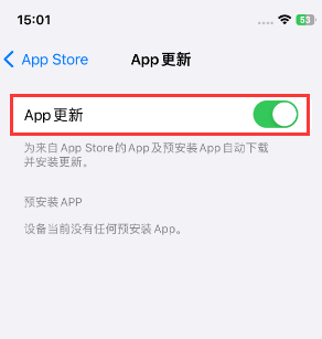 胡市镇苹果15维修中心如何让iPhone15APP自动更新